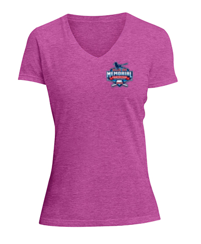 Ladies V-Neck Tee